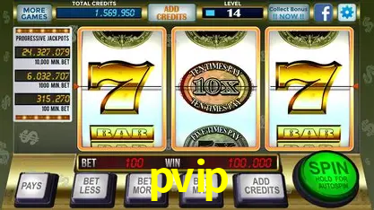 pvip,pvip.com
