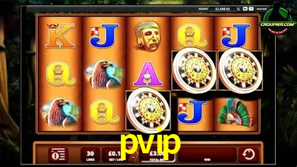 Descubra o Mundo do Cassino Online com pvip